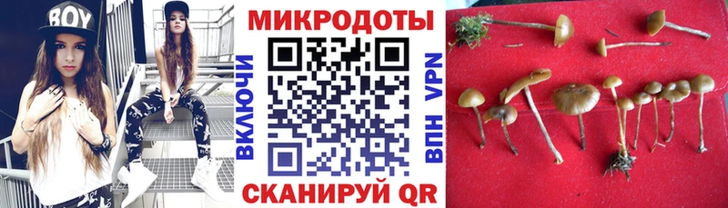 Галлюциногенные грибы мицелий  Циолковский 